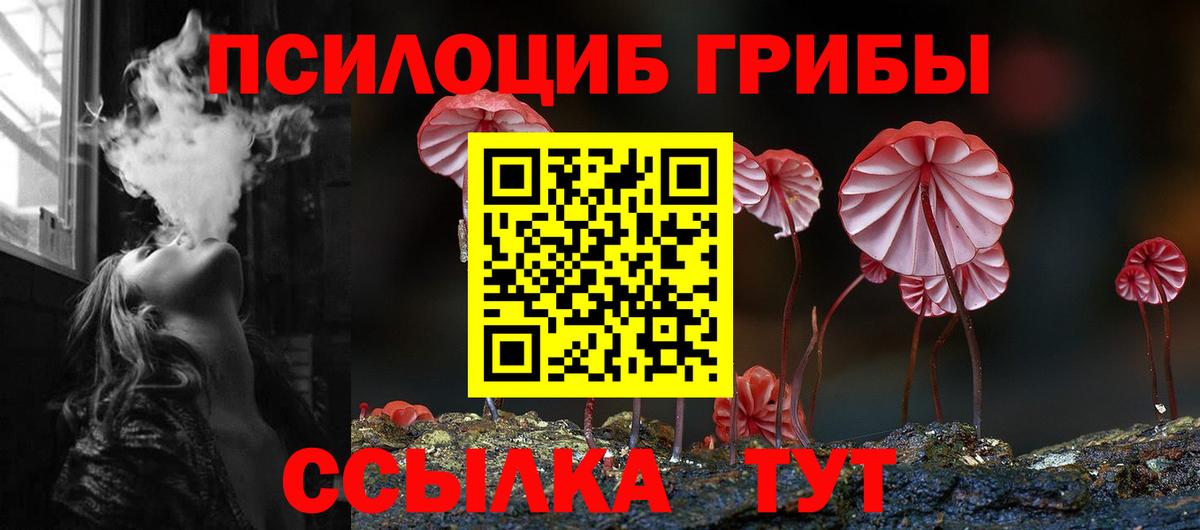 Мыски  Галлюциногенные грибы мицелий  Вход с VPN  Псилоцибиновые грибы Cubensis 